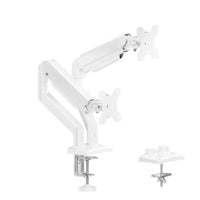 Spear Monitor Stand-34" Inch Dual Arm SMS D002 White