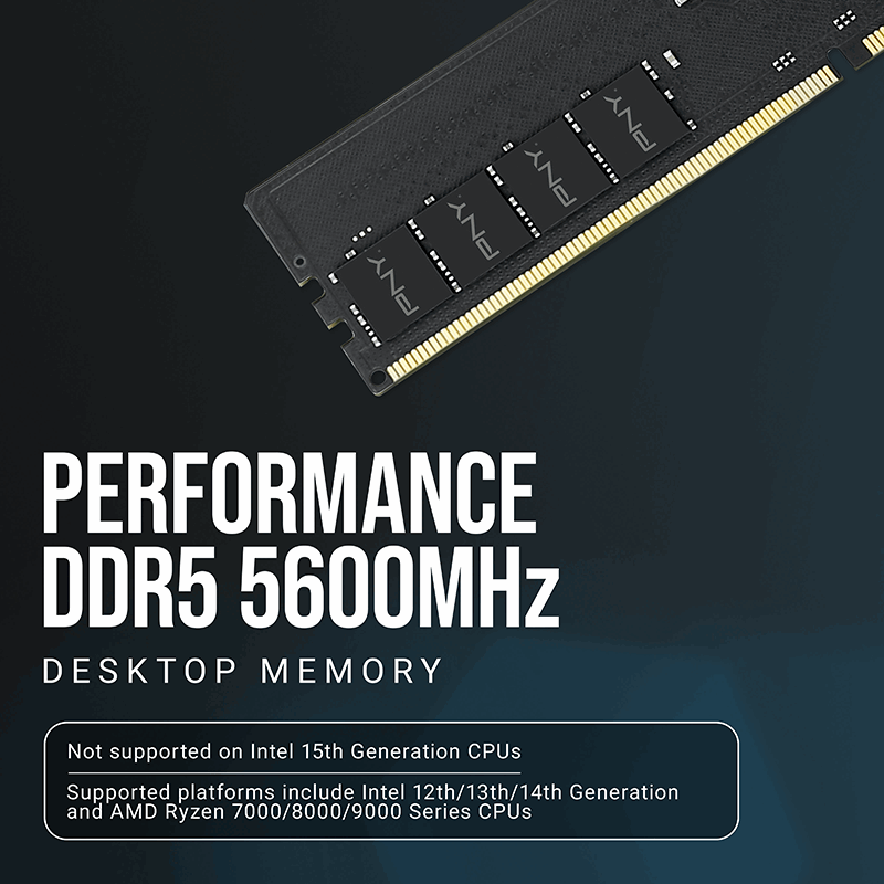 PNY Performance 16GB DDR5-5600 desktop RAM (MD16GSD55600-SB)