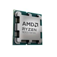 AMD Ryzen 9-9950X3D