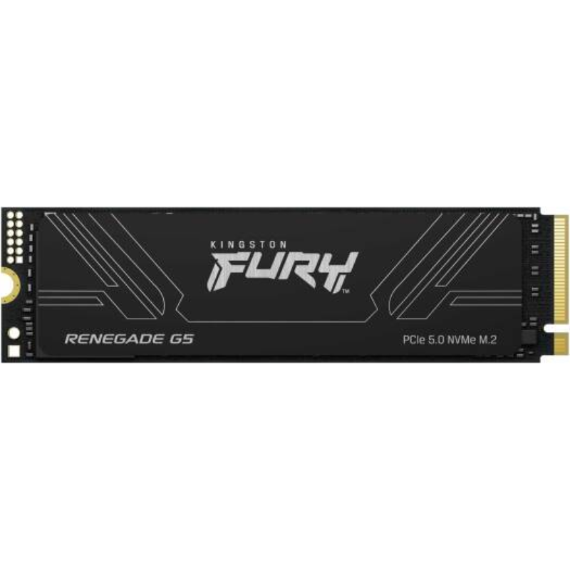 SSD KINGSTON FURY Renegade G5