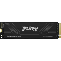 SSD KINGSTON FURY Renegade G5