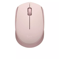 Mouse Logitech Wireless M171