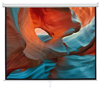 Manual Projector Screen MS300, 300 x 300 cm, 1:1 Square Format, Matte White, Wall/Ceiling Mount, (MS300)