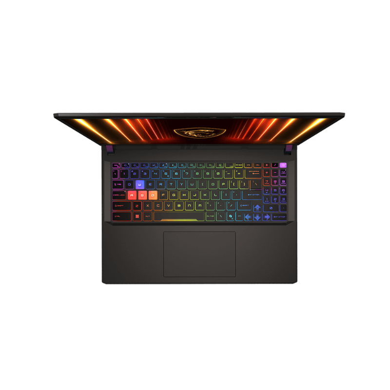 MSI VECTOR (9S7-15M352-096) Gaming Laptop Intel Ultra 9 275HX