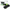 Graphics Card PNY (VCG508016TFXPB1), GeForce RTX 5080 16 GB, DDR7