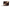 HONOR MagicBook Z9 Mocha Brown laptop - product photo 7