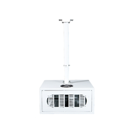Projector Ceiling Mount Box Holder, Enclosed Box-Type Bracket for Ceiling Installation, (DXF4537)