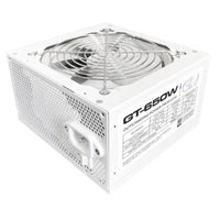 GT B 650W W - Other