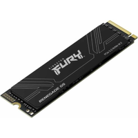 SSD KINGSTON FURY Renegade G5