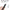 UGREEN LP479 wireless presenter 50654 buttons close-up