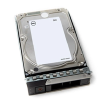 Dell 12TB 7.2K RPM NL-SAS 12Gbps 512e 3.5" Hot-Plug Hard Drive, ISE, Customer Kit, (161-BCJX)