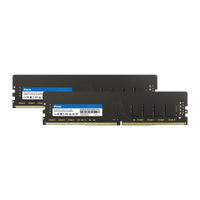 BIWIN RU100 16GB DDR4-3200 desktop RAM (BMU41632UD-S22BG)