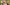 Apple MacBook Neo 13-inch Citrus camera detail