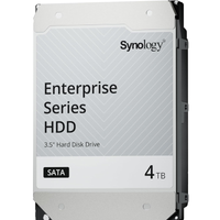 Synology HAT5320 4TB Enterprise Series SATA