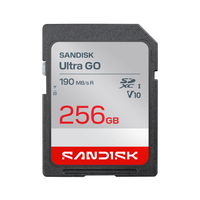 SanDisk Ultra GO 256GB SD Memory Card, Up to 190MB/s Read, (SDSDUGN-256G-GN6IN)