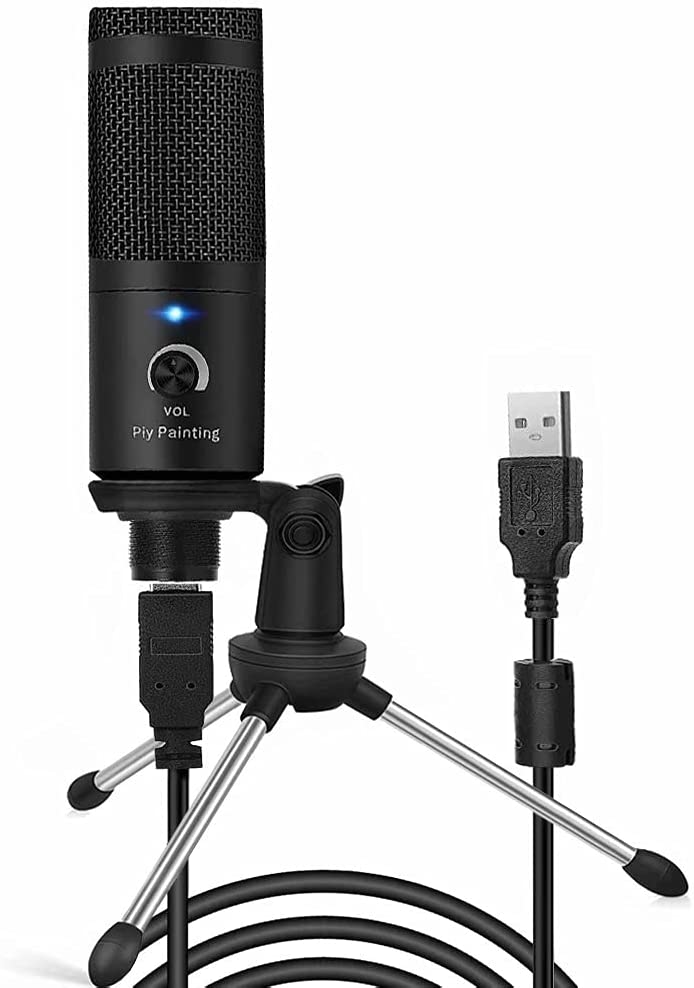 Piy Painting recording microphone front view