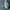 Razer Barracuda X Chroma Phantom White TriForce 40mm drivers view